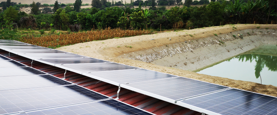 Placas solares para el riego agrícola